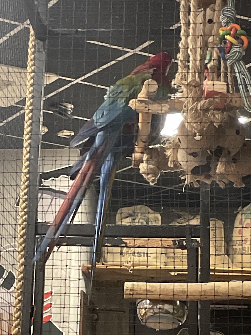 Parrot Coffee